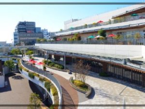 テラスモール,写真