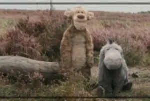ティガー,写真
