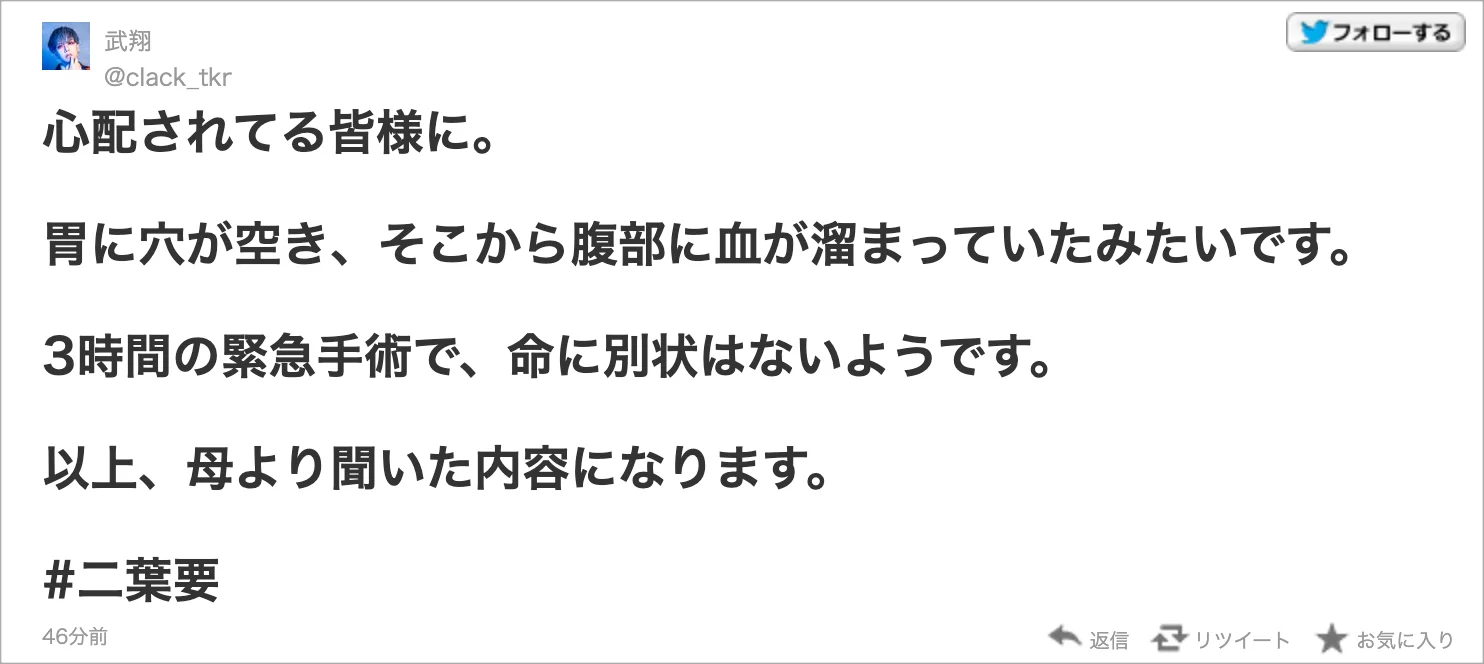 二葉要の病状,兄の武翔のツイート画像