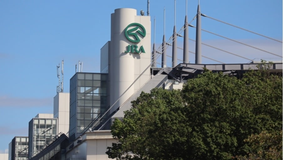 日本の競馬歴史！簡潔な完全ガイド