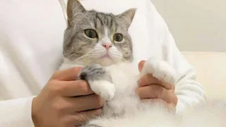 もちまる日記に「違和感」?虐待を疑われている理由5選!